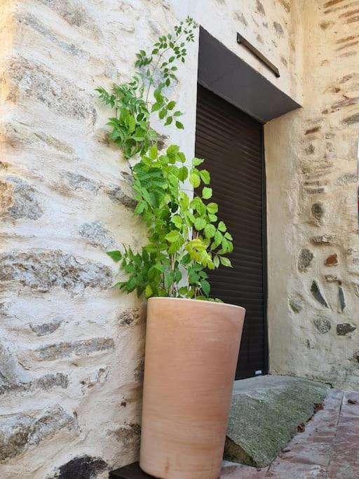 La Casa Cosy Love, Avec Jacuzzi Et Sauna Prives Palau-del-Vidre Kültér fotó